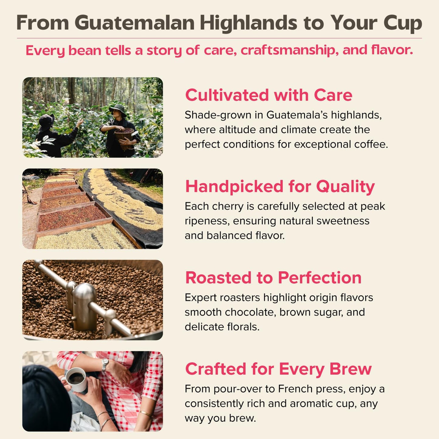 Uncharted Coffee 1850 Guatemala Whole Bean – Organic Single-Origin Medium Roast, Direct Trade, Balanced Flavor with Cocoa & Citrus Notes, Fresh Roasted, 9 oz Bag