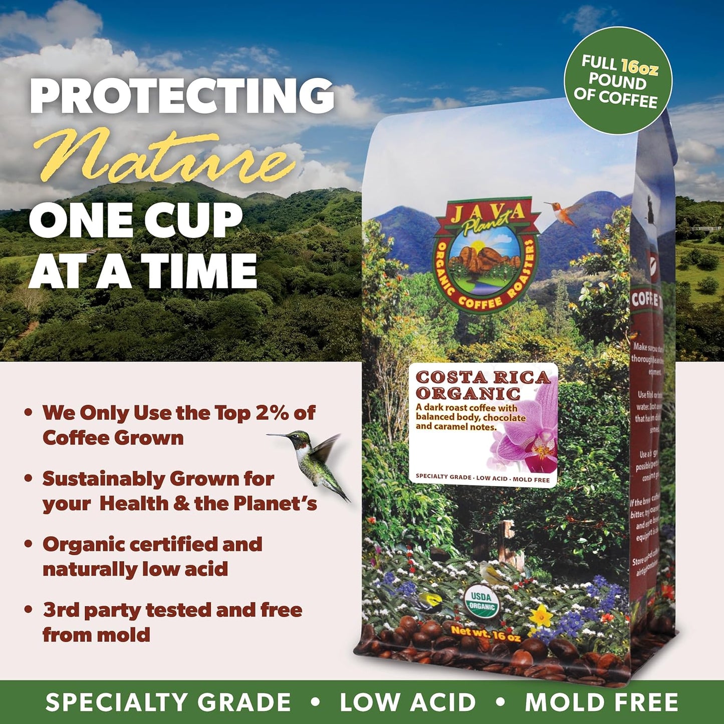 Low Acid Organic Coffee – Whole Bean, Mold-Free & Stomach Friendly by Java Planet, Costa Rican Single Origin Coffee, Dark Roast, Smooth Full Flavored, 2x1LB Bag