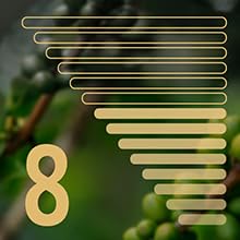 New Daniels Blend Single-Serve Aluminum Coffee Pods Compatible with Nespresso Machine, Kosher Certified, 120 Pods (Caramello, 120 Pods) Flavor Caramel Flavored Infused