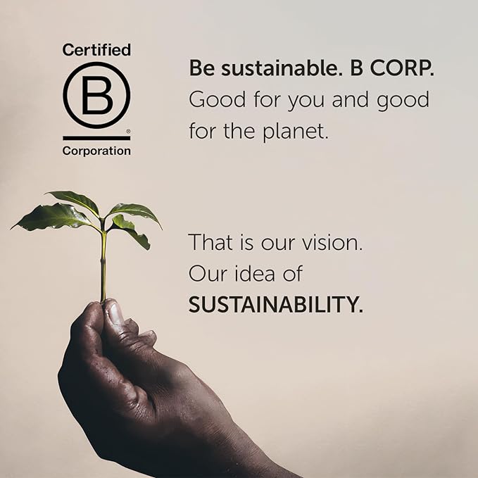 Illy Whole Bean Coffee, Classico Medium Roast - Mild & Balanced - 100% Arabica - Whole Beans - Pressurized Packaging Sealed for Freshness - 8.8oz can (Pack of 6)