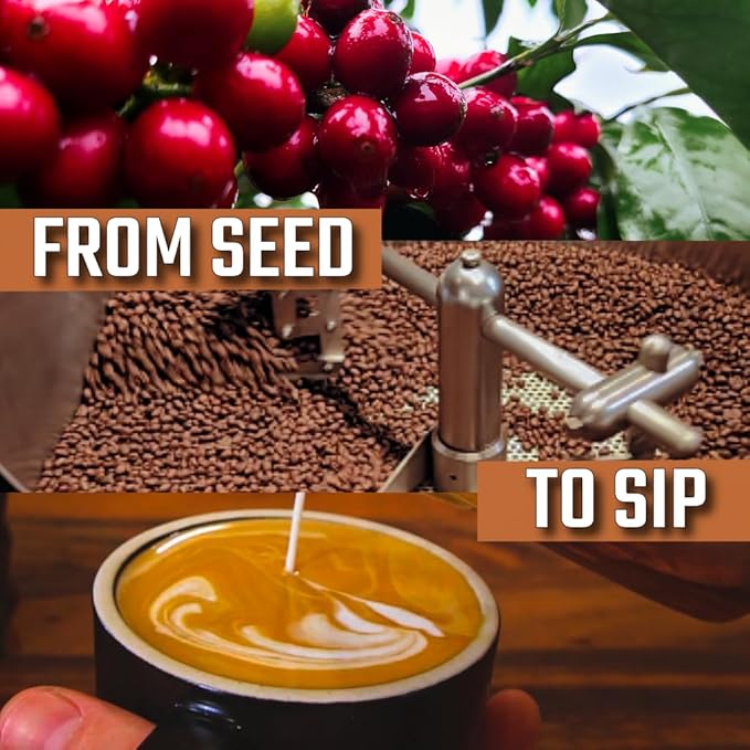 KONA EARTH 100% Kona Premium Coffee, Medium Roast, Whole Bean, (8oz) Farm-Direct Authentic Hawaiian Kona Coffee beans from Hawaii’s Big Island, Micro-Batch-Roasted