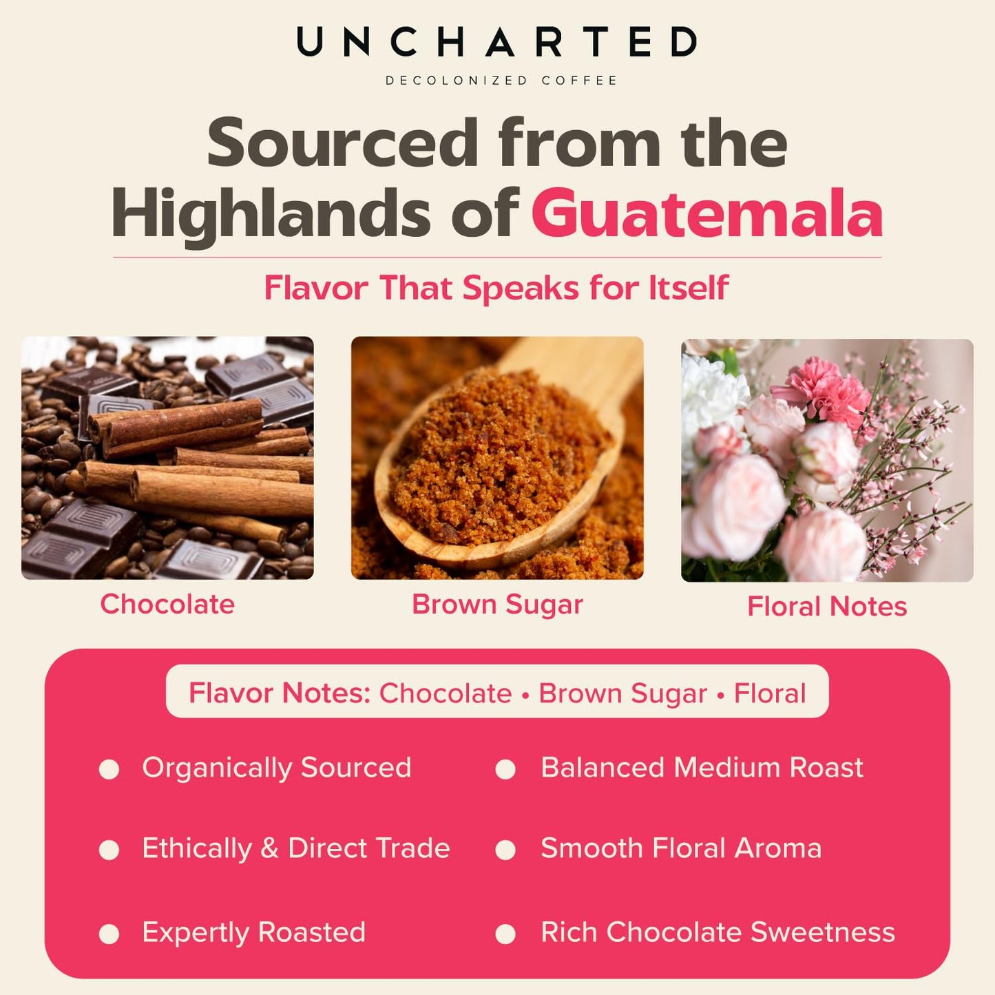 Uncharted Coffee 1850 Guatemala Whole Bean – Organic Single-Origin Medium Roast, Direct Trade, Balanced Flavor with Cocoa & Citrus Notes, Fresh Roasted, 9 oz Bag