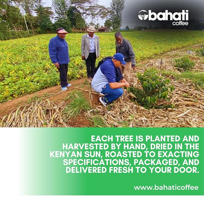 Kenya AA Grade Unroasted Green Arabica Coffee Beans from Kenyan Highlands - 100% Pure Coffee Beans With Optimal Flavor Freshness & Aroma - Handpicked, Washed & Sun Dried - 5 LB