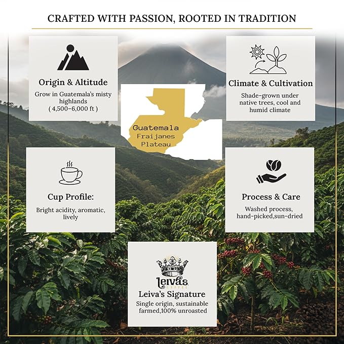 Leivas Unroasted Green Coffee Beans (1Kg) – Coban/Quiche Single Origin Coffee w/Fresh Fruit & Floral Notes – Washed, Shade Grown Organic Guatemala Beans – Balanced, Whole Bean Unroasted Blend