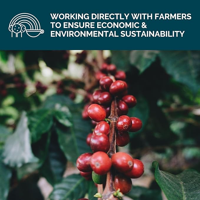 Stone Creek Coffee Dark Roast Whole Bean Coffee – 12 Ounce (Pack of 1) – Smooth Fresh Roasted Coffee Beans with Dark Chocolate Tasting Notes, 3 Volcanoes Dark Guatemala