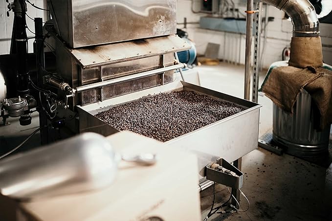 Mexican Chiapas Coffee Beans (5 LBS), Fair Trade, Medium Roast, Good As Gold Coffee Roasters