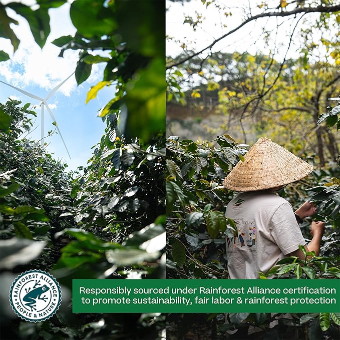 Conihat Whole Bean Coffee - Vietnamese Premium Arabica & Robusta Blend, Dark Roast, Dark Chocolate & Roasted Nut Notes, Bold & Long Aftertaste, Low Acid, Single Origin, Hand-Picked, 16 Oz Bag