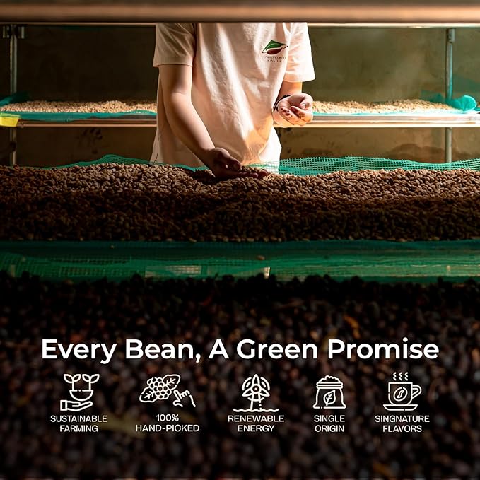 Conihat Whole Bean Coffee - Vietnamese Premium Arabica & Robusta Blend, Dark Roast, Dark Chocolate & Roasted Nut Notes, Bold & Long Aftertaste, Low Acid, Single Origin, Hand-Picked, 16 Oz Bag