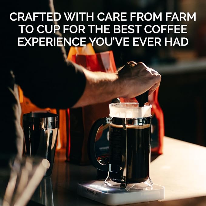 Stone Creek Coffee Medium Roast Whole Bean Coffee – 12 Ounce (Pack of 1) – Specialty Smooth and Sweet Fresh Roasted Coffee Beans with Fruity/Chocolate Tasting Notes, Cream City