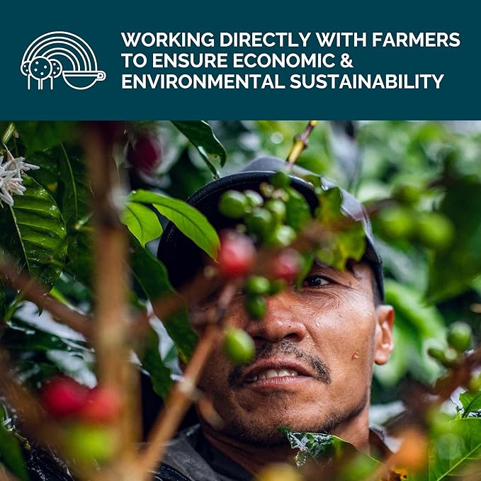 Stone Creek Coffee Medium Roast Whole Bean Coffee – 2 LB (Pack of 1) – Specialty Smooth and Sweet Fresh Roasted Coffee Beans with Fruity/Chocolate Tasting Notes, Cream City