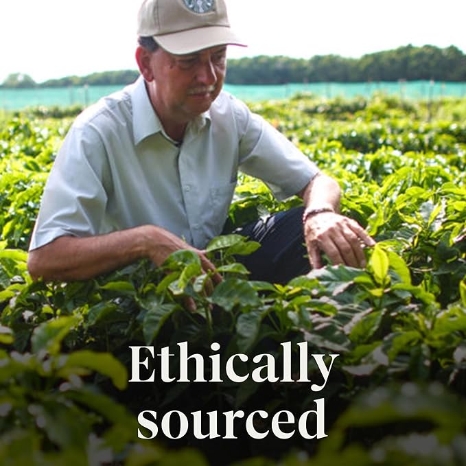 Starbucks Ground Coffee, Smoked Butterscotch Naturally Flavored Coffee, 100% Arabica, Limited Edition, 1 Bag (17 Oz)